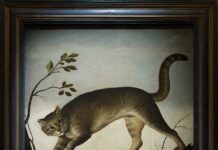 Il sarcofago di Spitzmaus e altri tesori