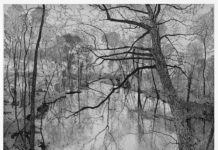 Federica Galli. Green Grand Tour