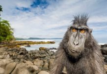 On Assignment, una vita selvaggia. Fotografie di Stefano Unterthiner