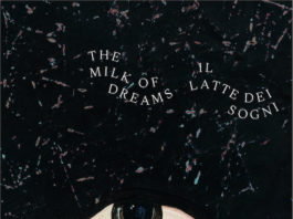 Biennale di Venezia. Eventi collaterali